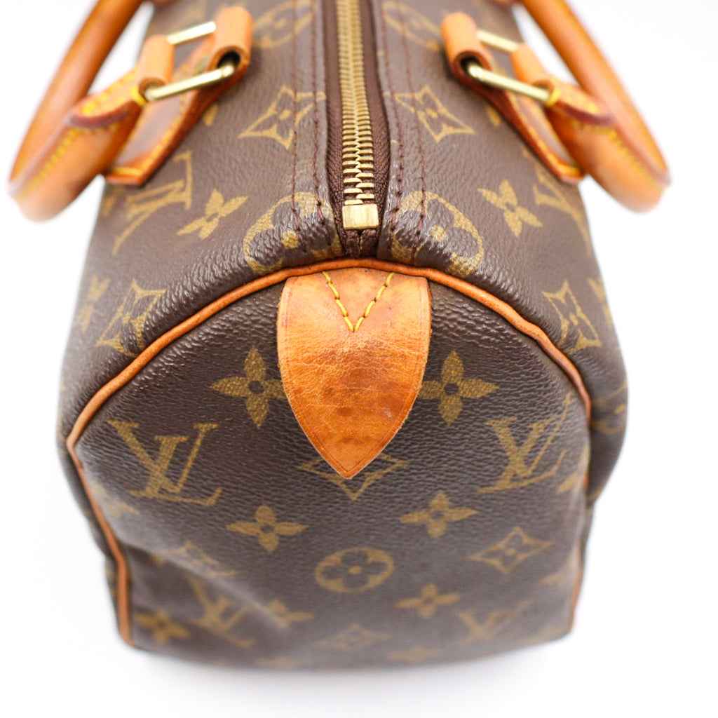 Louis Vuitton Speedy 25 Monogramm