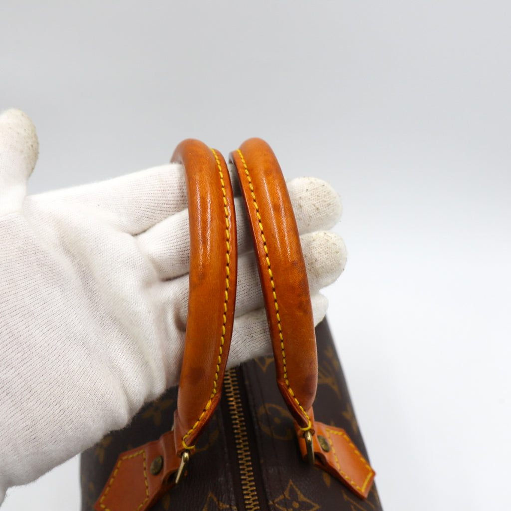 Louis Vuitton Speedy 25 Monogramm