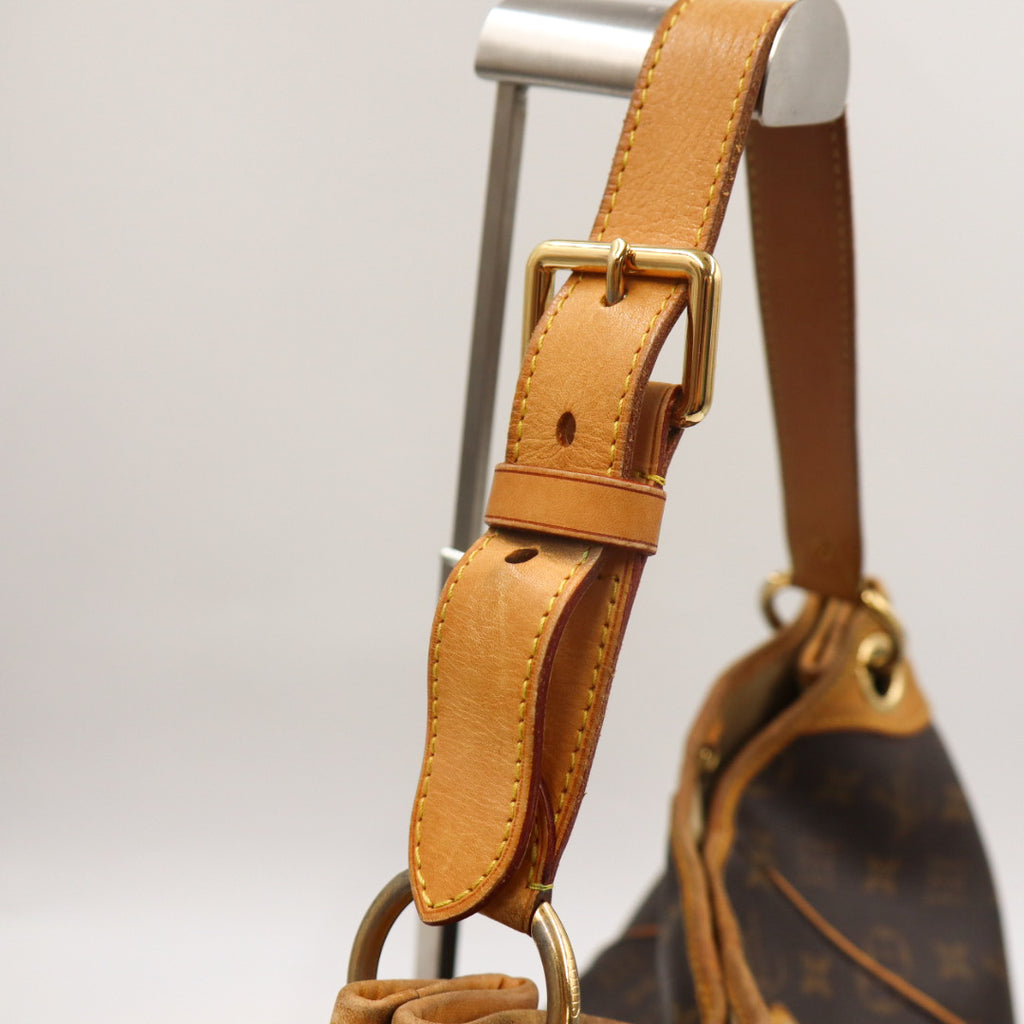 Louis Vuitton Galliera MM Monogramm