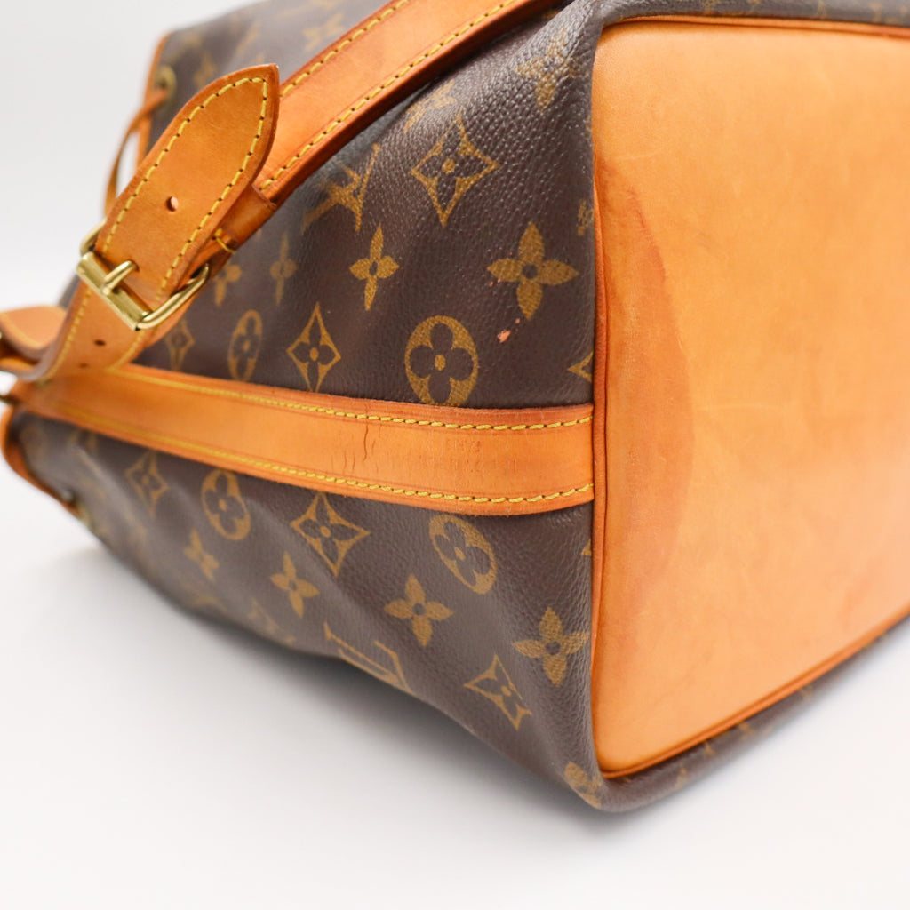 Louis Vuitton Noé Petit Monogramm