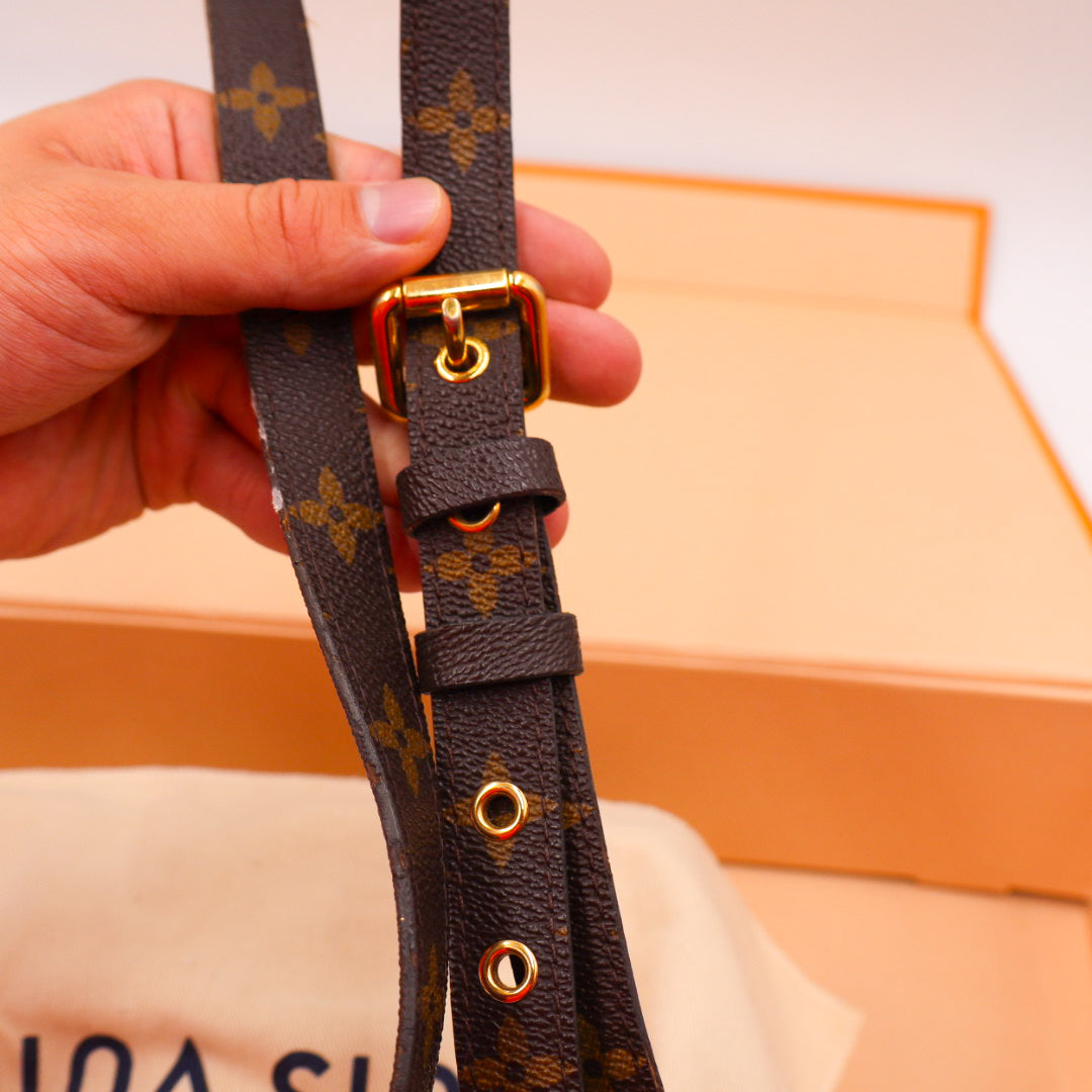 Louis Vuitton Pochette Metis Monogramm