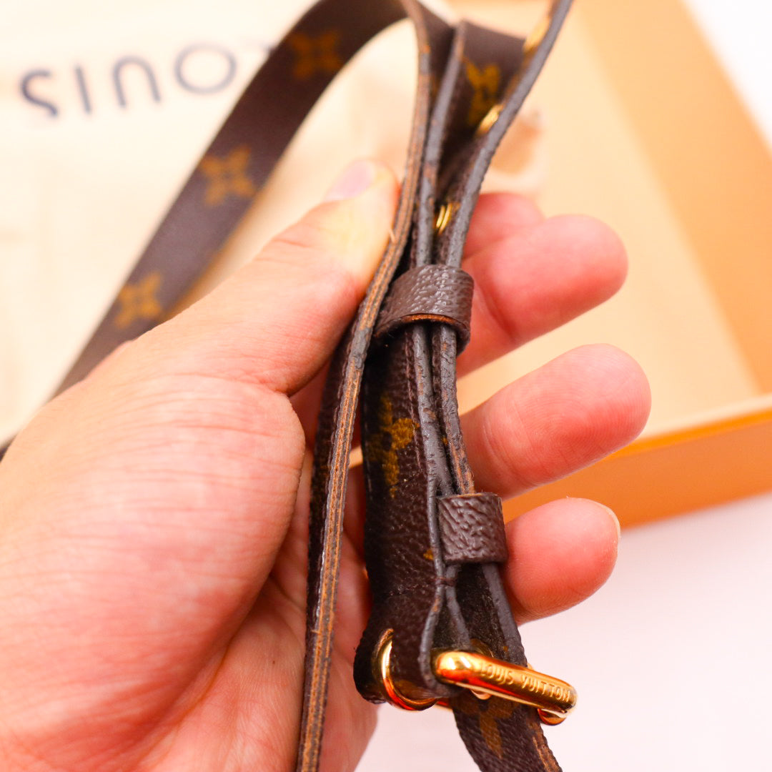 Louis Vuitton Pochette Metis Monogramm