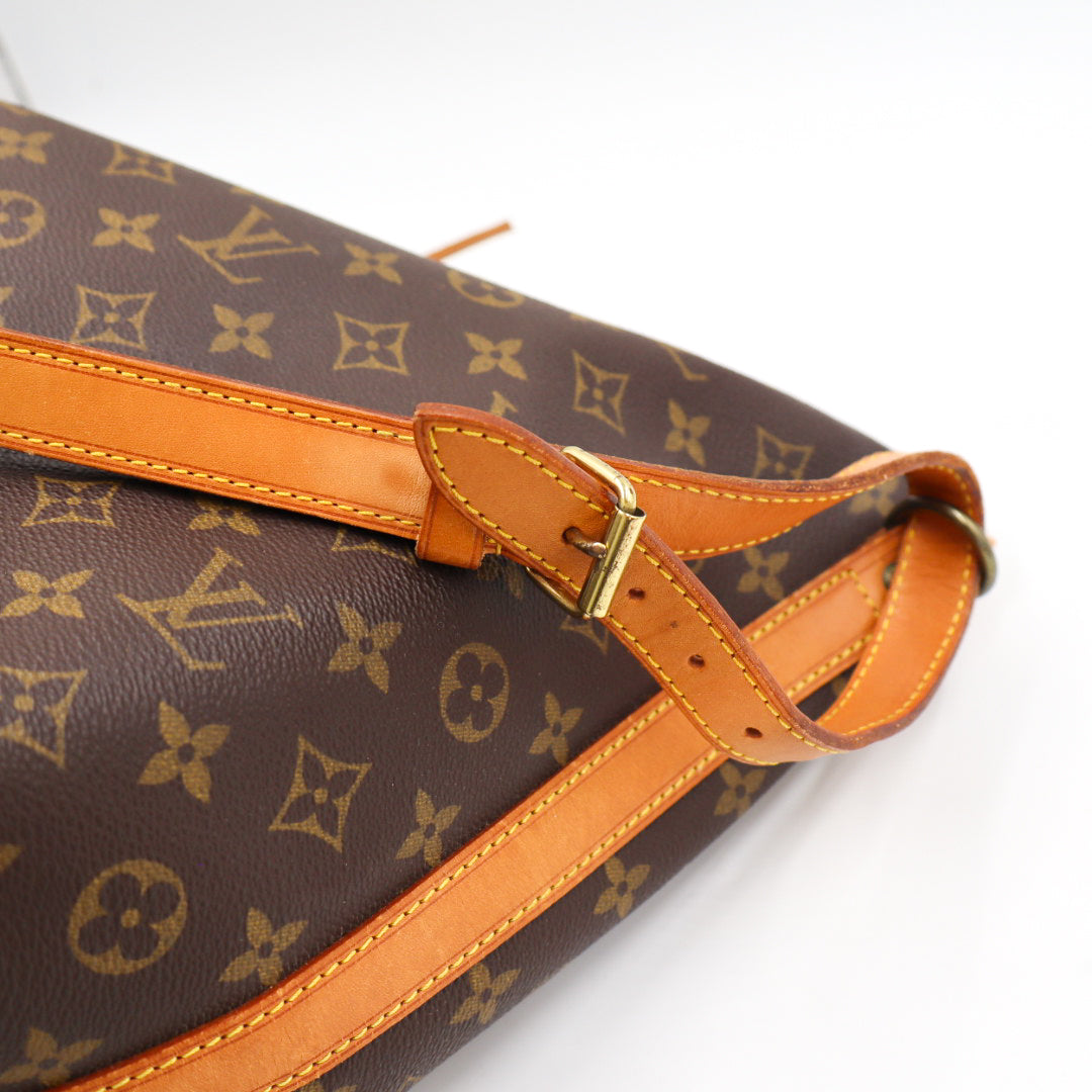 Louis Vuitton Noé Grande Monogramm