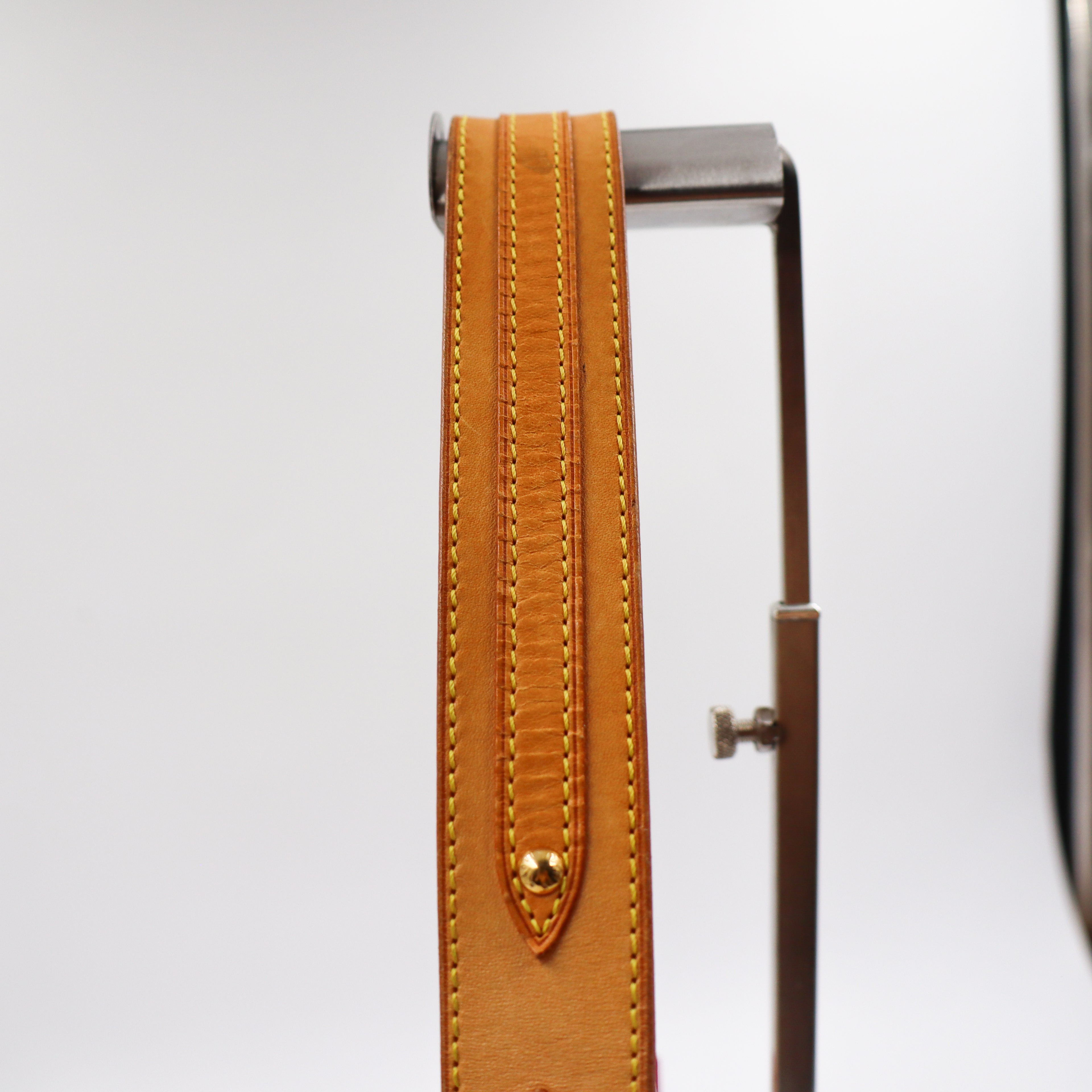 Louis Vuitton Lodge PM Multicolor Monogram - 705