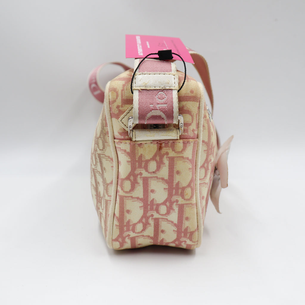 Dior Monogram Trotter Flower Oblique - 837