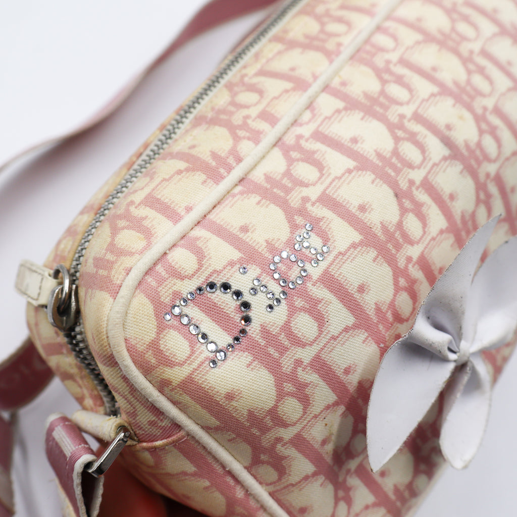 Dior Monogram Trotter Flower Oblique - 837