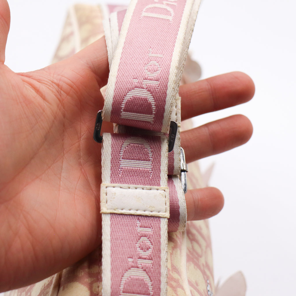 Dior Monogram Trotter Flower Oblique - 837