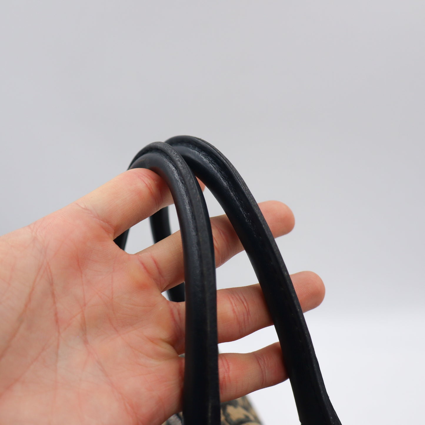 Christian Dior Monogram Boston Trotter - 978